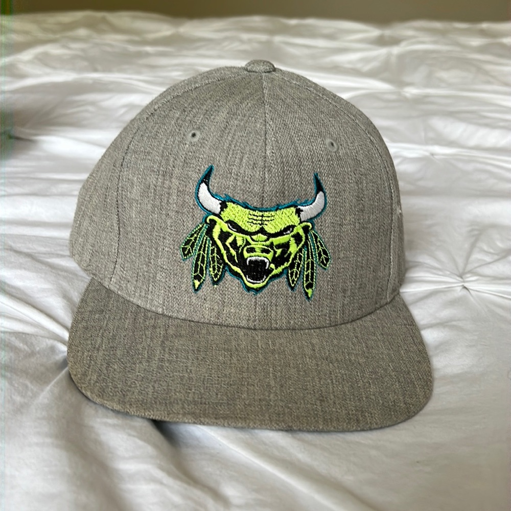 A unique boutique Chicago hat of “The Beast”. Bulls, Blackhawks, and Bears